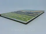 Камбігів Б. Коневодство та конозаводство (б/у)., фото 5