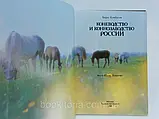 Камбігів Б. Коневодство та конозаводство (б/у)., фото 6