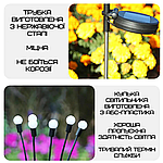 Світильник Лампочка LED Для Саду Декоративний Водонепроникний Ліхтар Для Клумби на Дачу 2в1 з Датчиком Світла на Сонячній Батареї, фото 6