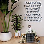 Переноска Контейнер Для Котів та Собак Для Авіа Перельотів та Транспортування Тварин до 9 кг з Металевими Кріпленнями та Дверима +, фото 10