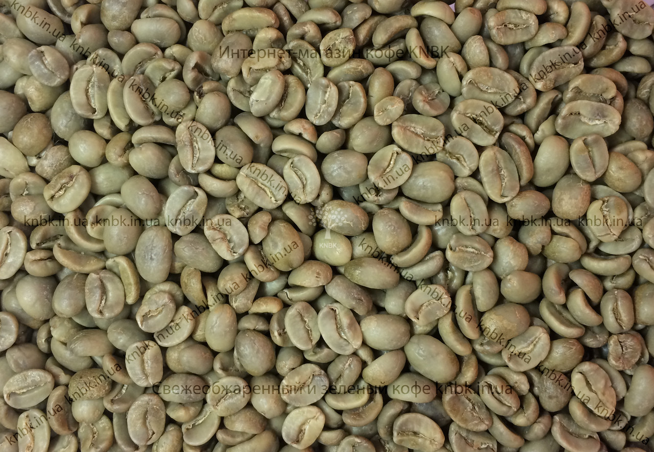 Арабіка Гондурас (Arabica Honduras) 1кг. ЗЕЛЕНА, фото 1