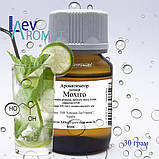 Ароматизатор Мохіто в/р; 0719, фото 3