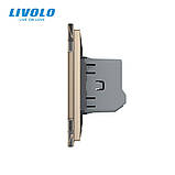 Розумний датчик температури та вологості ZigBee термометр гігрометр Livolo золото (VL-FCEZ-2AP-13), фото 3