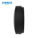 Кінетичний пульт керування пристроями ZigBee Livolo (VL-XS001), фото 3
