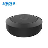 Кінетичний пульт керування пристроями ZigBee Livolo (VL-XS001), фото 5
