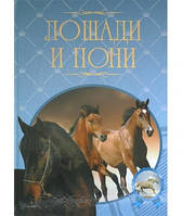 Книга Коня й поні  . Автор Жабцев В.И. (Рус.) (обкладинка тверда) 2020 р.