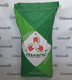 Насіння кукурудзи Mais Прайм ФАО-220