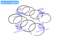 Кольца поршневые М/К СМД 23, -24, -31 (на 2 поршня) П/К (Piston Rings Komarov s.r.o.) СТ-23-03с6-01-КЧ