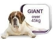 Royal Canin Giant-для собак вагою понад 45 кг