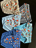 Труси дитячі. 3-5 років, фото 3