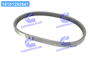 Ремень вариаторный двухзубчатый CLAAS(667248.0)(OPTIBELT) 1001317