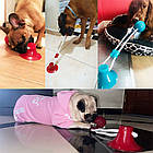 Іграшка для собак м'яч на мотузці з присоскою EL-1126, Рожева / Гумова жувальна іграшка / М'ячик для тварин, фото 8