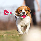 Іграшка для собак м'яч на мотузці з присоскою EL-1126, Рожева / Гумова жувальна іграшка / М'ячик для тварин, фото 7