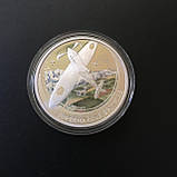 Срібло монета Тувалу 1 долар 2005 Авіація Бойові літаки Супермарин Спітфайр, фото 4
