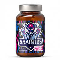 Биодбавка OstroVit Braintus Focus 90 капсул