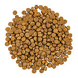 Сухий корм Savory для довгошерстих котів зі свіжим лососем і білою рибою 8кг, фото 3