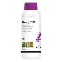 Инсектицид Цезарь КЭ 1 л ADAMA