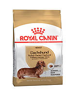 Royal Canin Dachshund Adult сухой корм для взрослых собак породы Такса 1.5 кг