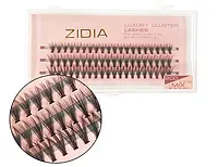 Ресницы пучковые Zidia Cluster lashes 20D C 0,10 Mix
