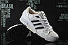 Кроссовки женские Adidas ZX750 / ADW-1194, фото 5