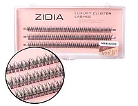 Zidia Cluster lashes fish tail 12D C 0,10 MIX S (8. 9. 10)