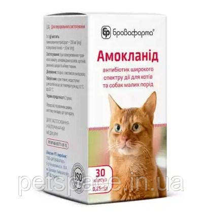 Капсули Бровафарма Амокланід (антибіотик для котів) 30 капсул по 0,25 г