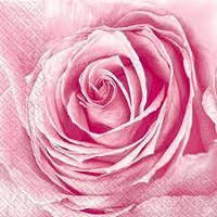 Салфетка Марго "Бутон розы" размер 24*24 3 слоя количество 20 шт.