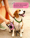 Повідець-рулетка BauTech 5 м для собак на стрічці в рожевому кольорі, фото 3