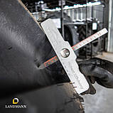 Шина 710/70R38 171D R-1W PHP:70 TL (Pirelli), фото 4