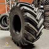 Шина 800/65R32 178D/181A8 HARVEMAXX TL (Uniglory), фото 3