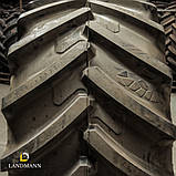 Шина 800/65R32 178D/181A8 HARVEMAXX TL (Uniglory), фото 6
