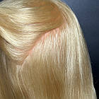 Навчальна манекен голова для зачісок 80% натурального волосся + подарунок, код 019, фото 4