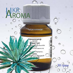 Ароматизатор Кактус (Текіла) в/р; 17.099