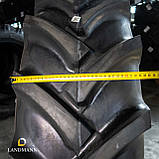 Шина 15,5-38  12PR AS100 TT (GTK), фото 7