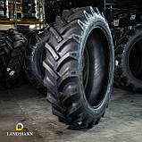 Шина 13,6-38 10PR AS100 TT (GTK), фото 2