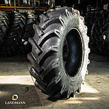 Шина 13,6-24 12PR AS100 TT (GTK), фото 2