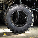 Шина 13,6-24 12PR AS100 TT (GTK), фото 3