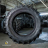 Шина 16,9-38 10PR AS100 TT (GTK), фото 3