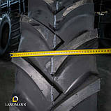 Шина 16,9-38 10PR AS100 TT (GTK), фото 7