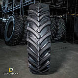 Шина 18,4-38 14PR AS100 TT (GTK), фото 4