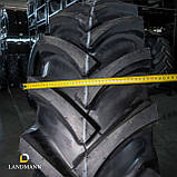 Шина 18,4-38 14PR AS100 TT (GTK), фото 6