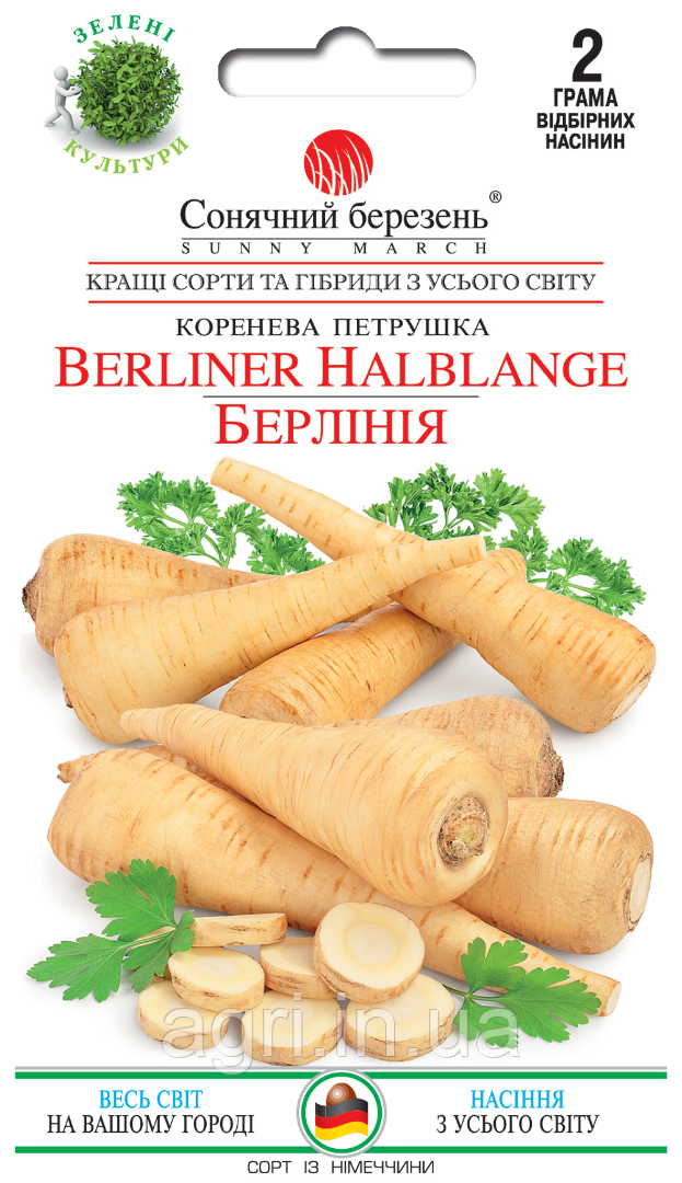 Петрушка Берлінія (коренева), 2гр.