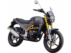Дорожній мотоцикл FORTE FT300-CXC Сірий