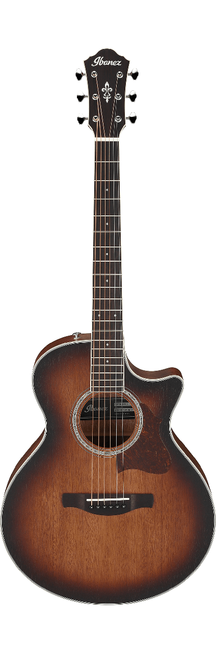 Електро-акустична гітара IBANEZ AE240JR MHS, фото 1