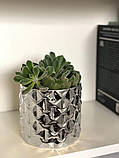 Горщечок кашпо для квітів керамічний срібний, фото 2