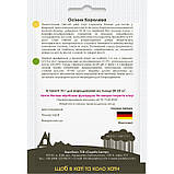 Морква Осіння королева 10г Садиба Центр (Satimex Німеччина), фото 2