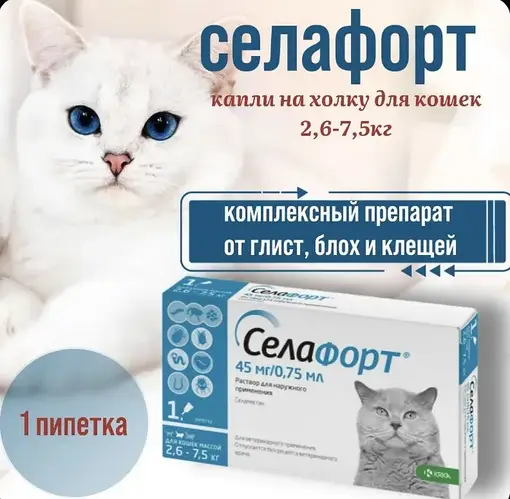 Купить Selafort (Селафорт) капли на холку от блох, клещей и гельминтов ...