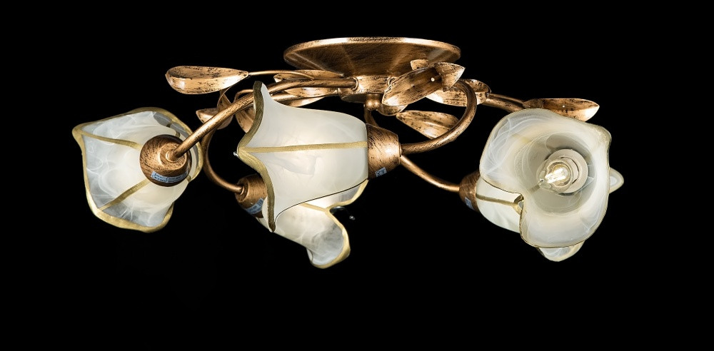 Люстра з плафонами Splendid-Ray L 192383, фото 1