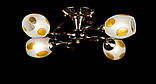 Люстра с плафонами Splendid-Ray 18814691(MIX(FGD1+CR1)), фото 6