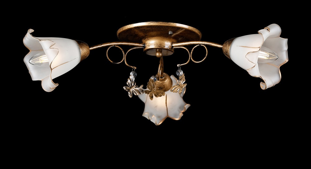 Люстра стельова з плафонами Splendid-Ray 882178, фото 1